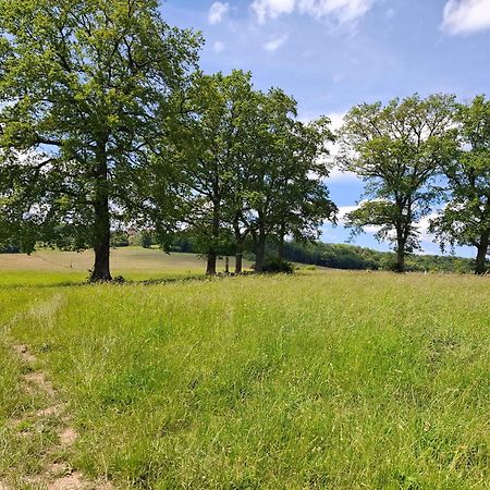 Chambres D'Hotes Sous Les Chenes Gondenans-Montby 外观 照片