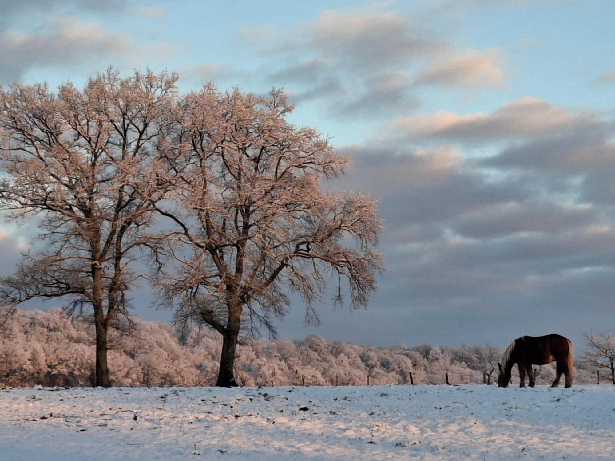 Chambres D'Hotes Sous Les Chenes Gondenans-Montby 外观 照片